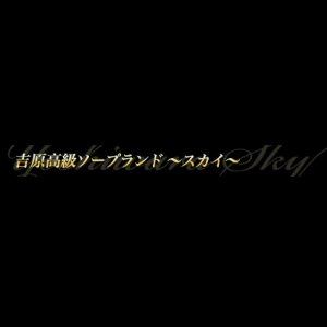 スカイ〜SKY〜