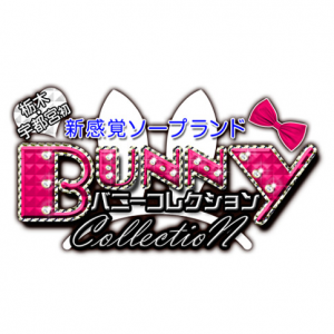 バニーコレクション(新潟)